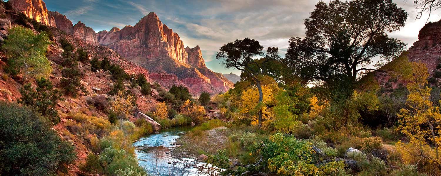 Things Zion National Park Springdale Utah Lodging Harvest