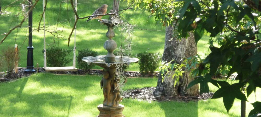 English Garden Danville / 418 Antelope Ridge Way, Danville | ALL ACCESS