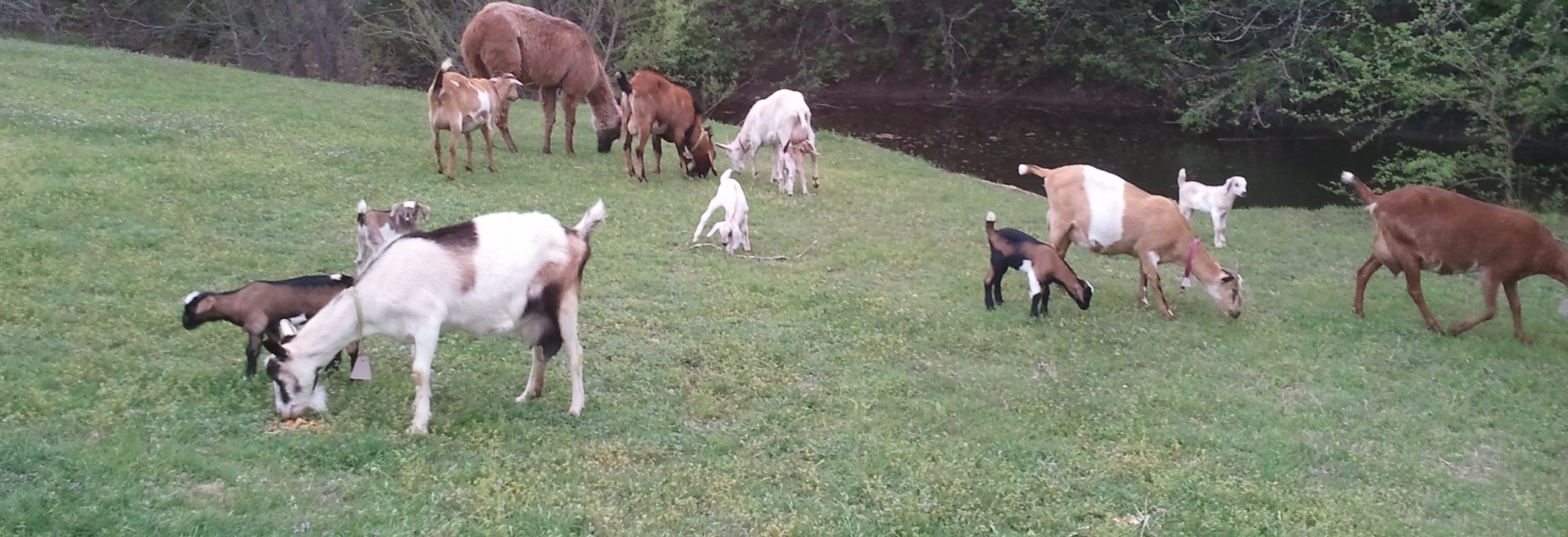 What Makes Us Special Dallas Spa Resort Elm Creek Manor