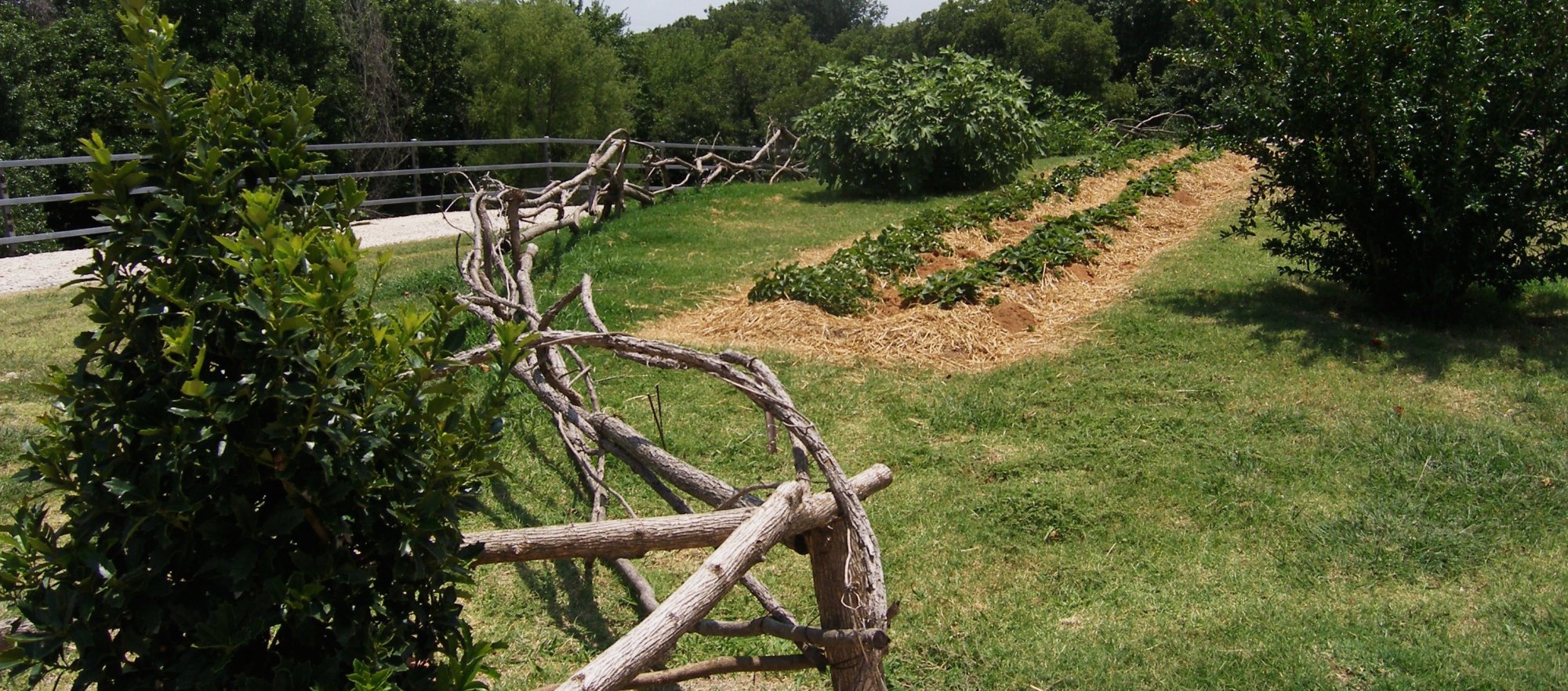 What Makes Us Special Dallas Spa Resort Elm Creek Manor