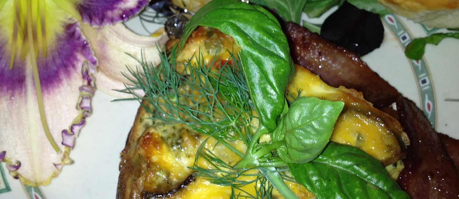 Breakfast Valparaiso Bed & Breakfast Songbird Prairie