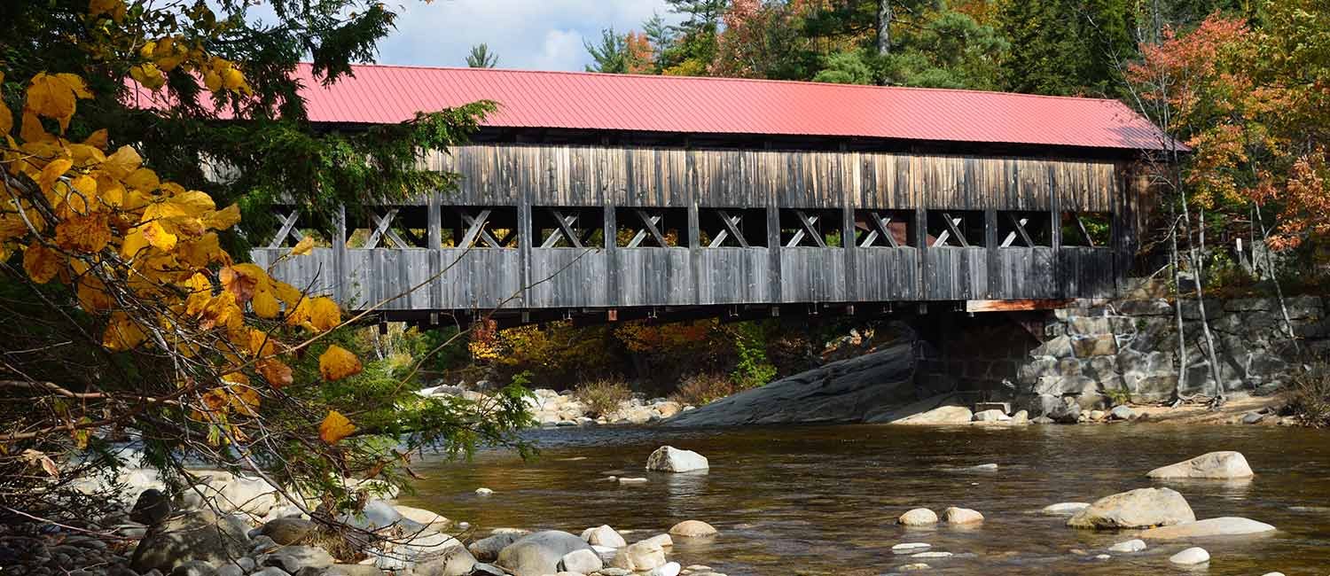 Things To Do in Wakefield and The White Mountains