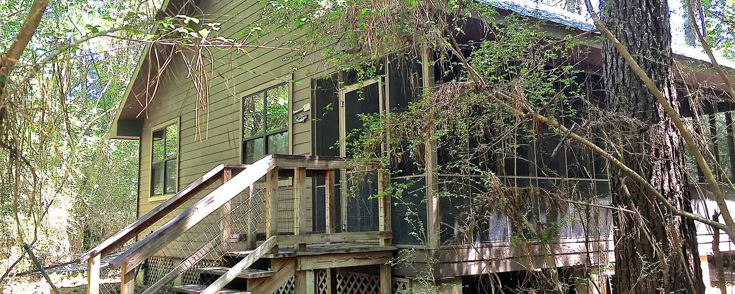 Louisiana Beach House Rentals Part - 17: Little River Bluffs - Nature Preserve U0026 Retreat In Folsom, LA