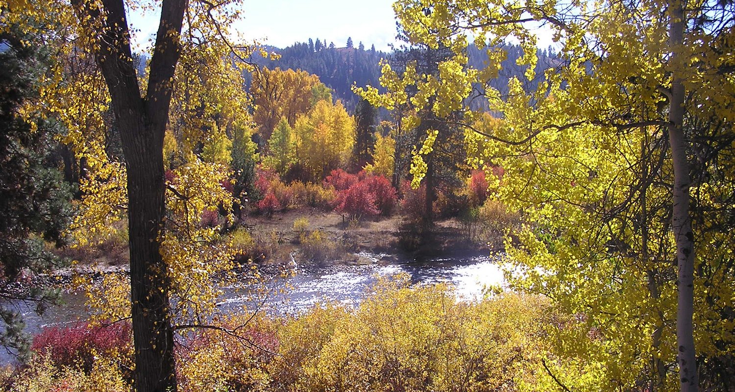 Hayhurst Bed & Breakfast in Pine, Idaho at Anderson Ranch Reservoir