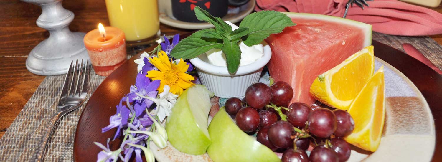 Zion Canyon Bed & Breakfast outside of Zion National Park