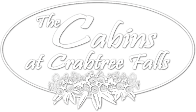 Crabtree Falls Cabins For Rent In Nelson County Va From The